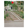 Free Skate Mag Issue 56