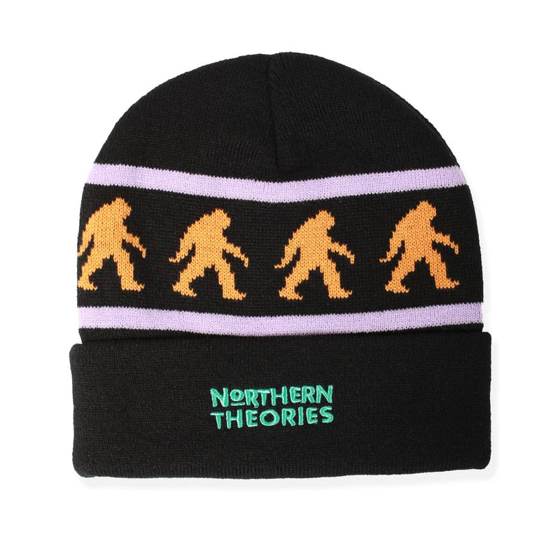 THEORIES NORTHERN THEORIES Beanie Black FRONT