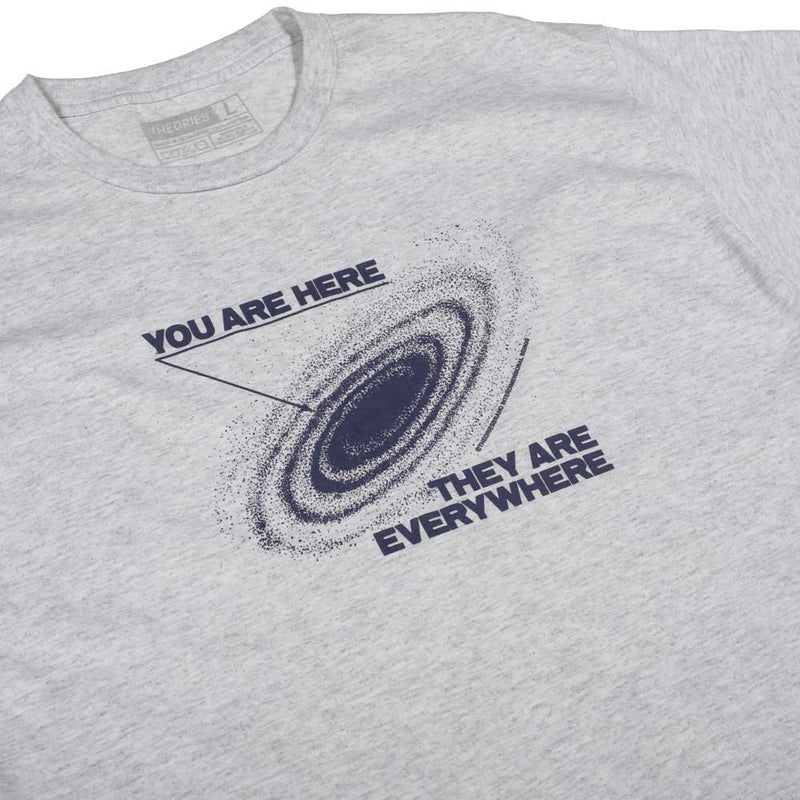 Theories YOU ARE HERE TEE ASH DETAIL