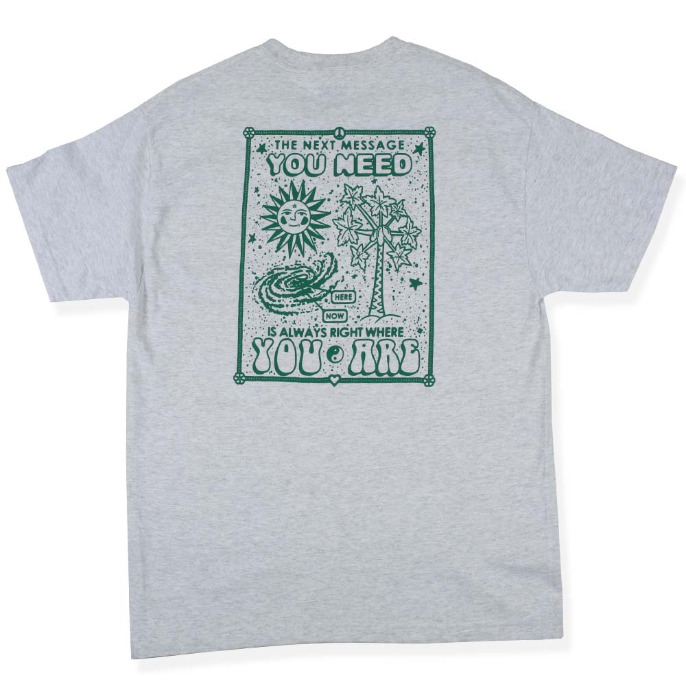 Traffic Skateboards BE HERE NOW TEE ASH BACK